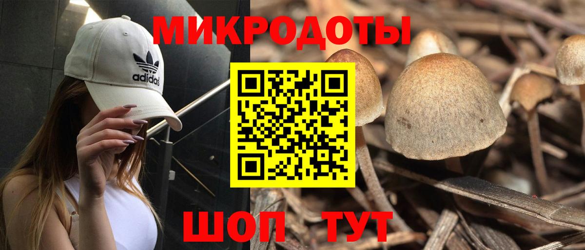 Галлюциногенные грибы Cubensis Жуковский