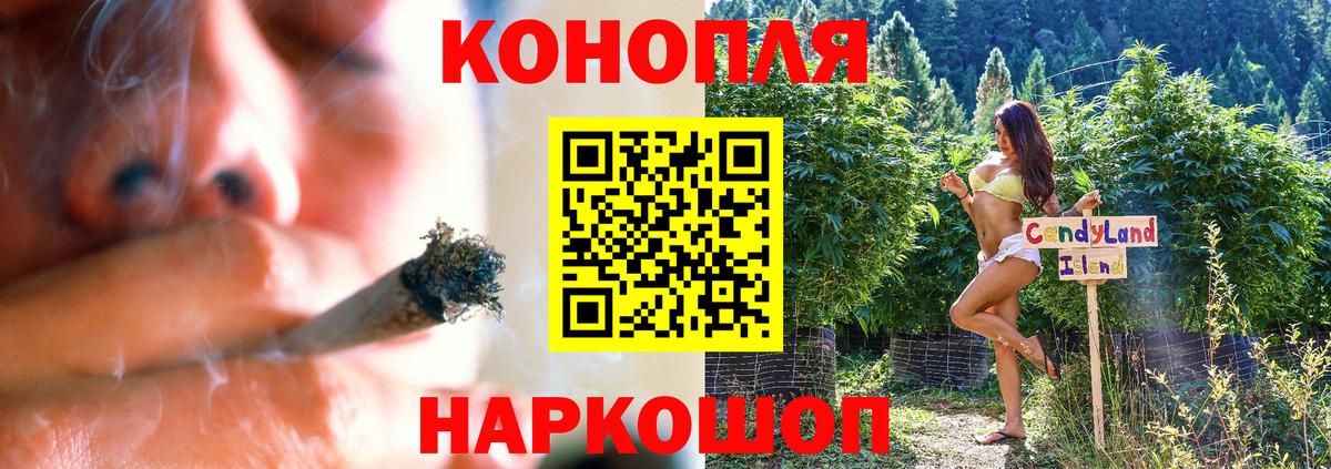Шишки марихуана план  Вход с VPN  Шишки марихуана план  Бошки марихуана THC 21%  Жуковский  Бошки марихуана тримм 
